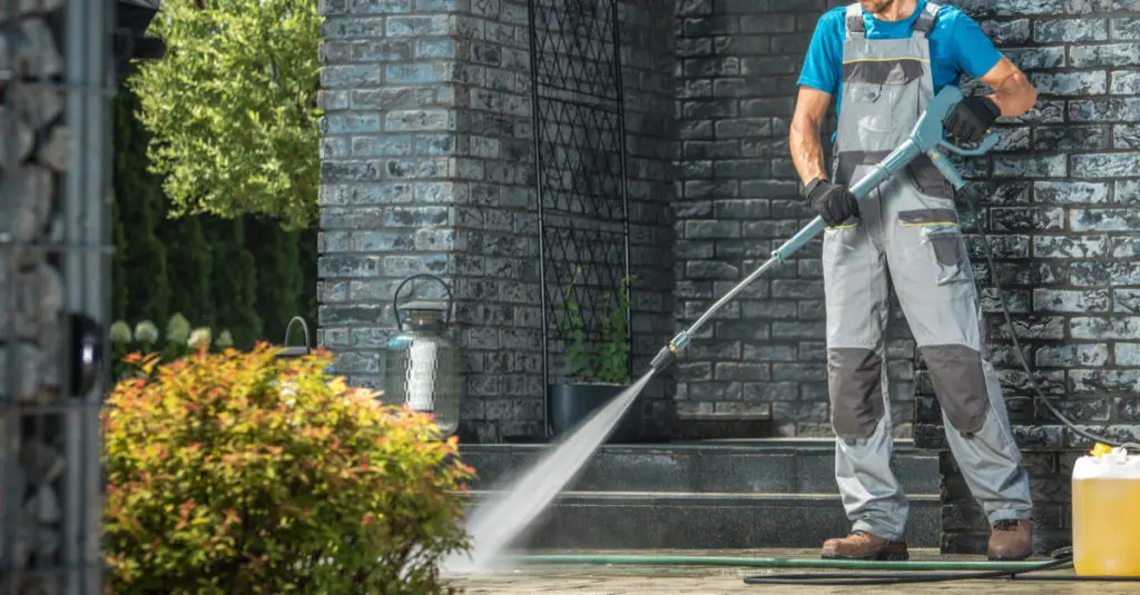 roof cleaning