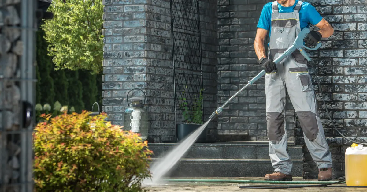 roof cleaning
