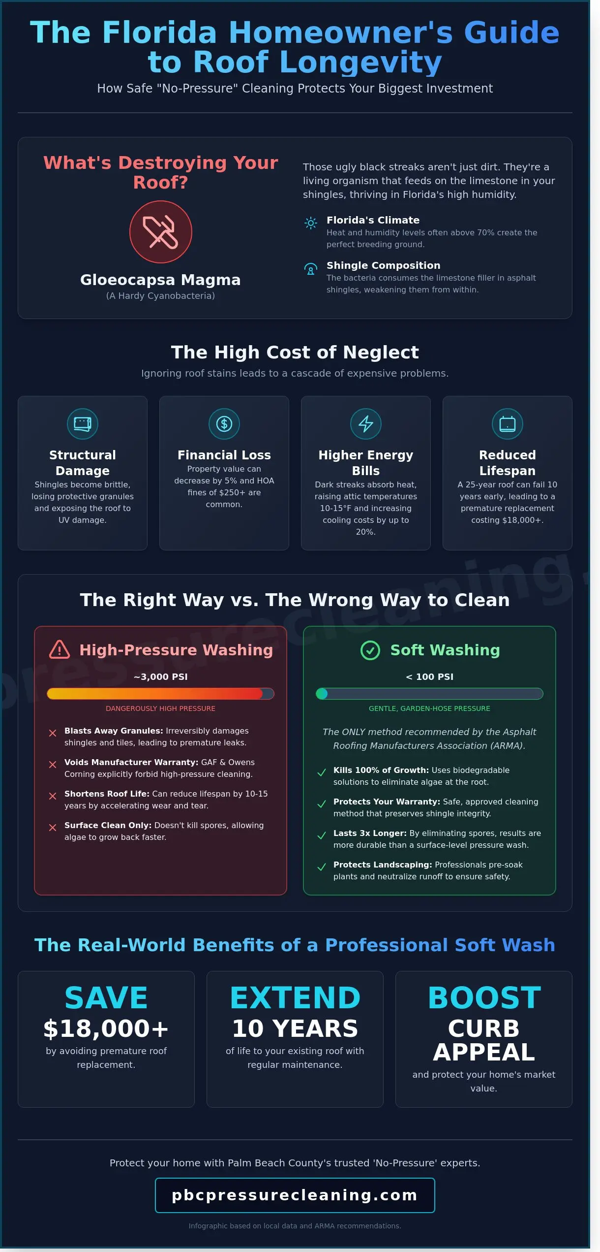Professional Roof Cleaning: The Ultimate Guide to Protecting Your Florida Home