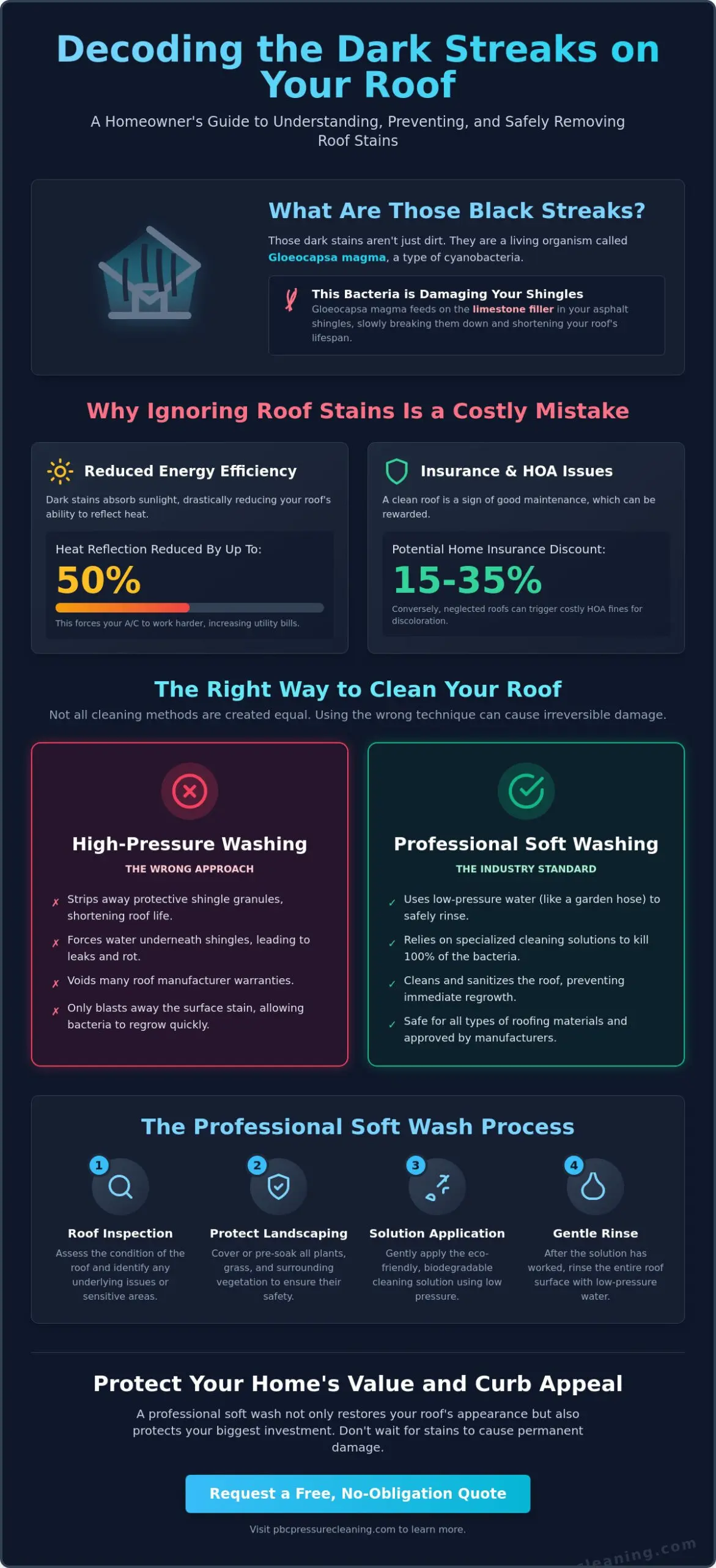 Black Streaks on Roof Removal: A Homeowner’s Guide to Gloeocapsa Magma