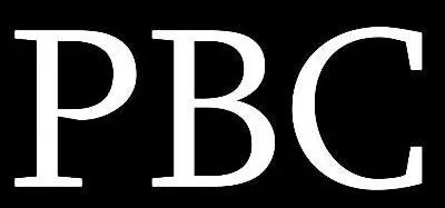 Pressure Pros of Palm Beach Logo