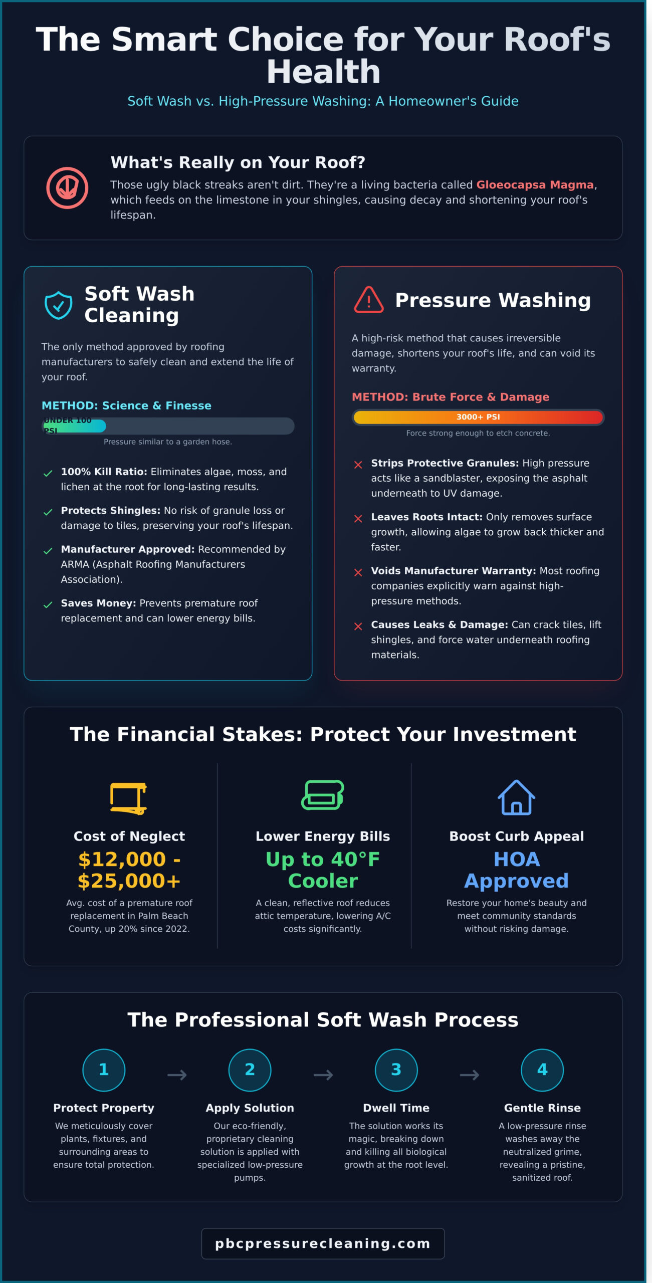 Soft Wash Roof Cleaning: The Complete Guide for Palm Beach County Homeowners - Infographic