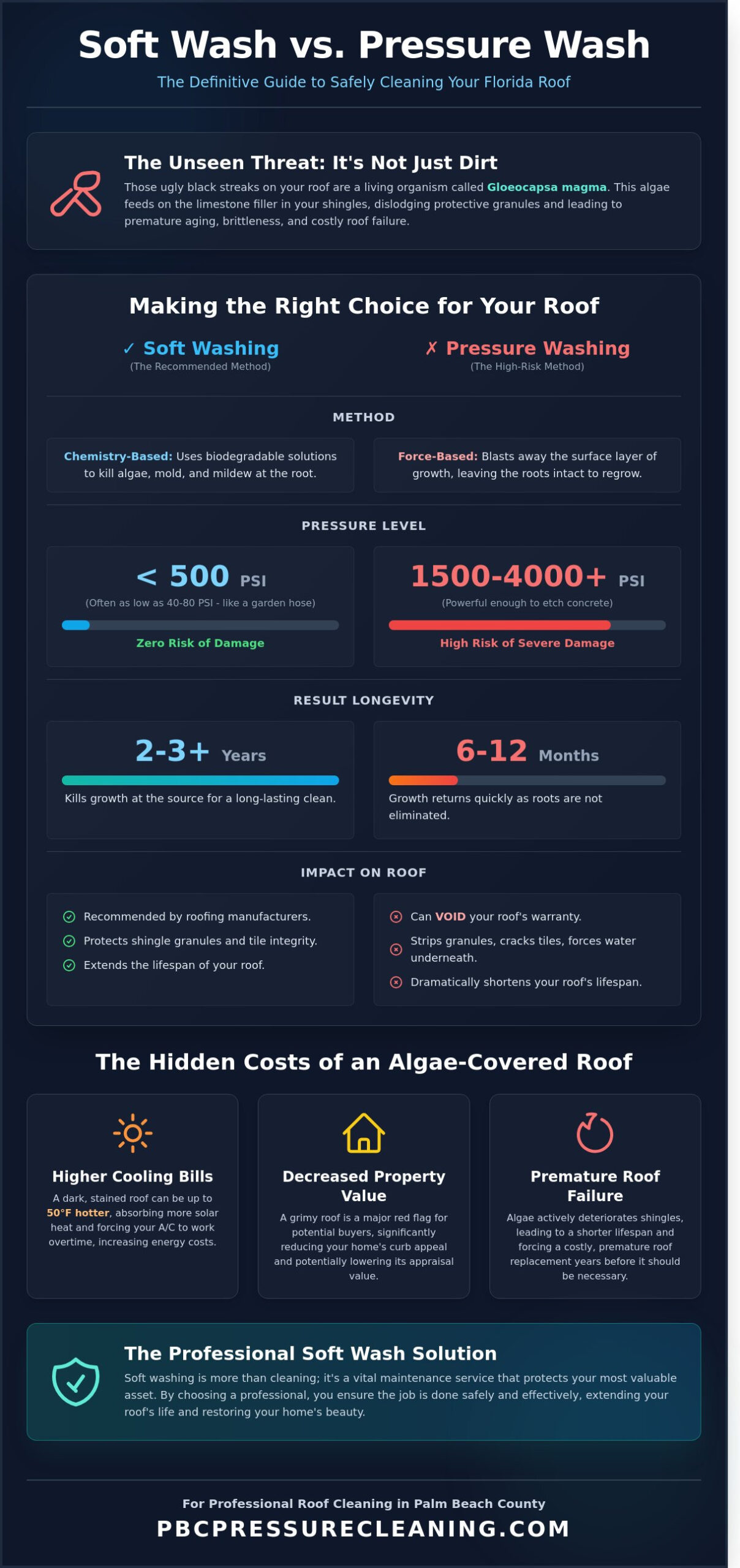 Soft Washing Roofs: The Ultimate Guide to Safe Roof Cleaning in Palm Beach County - Infographic
