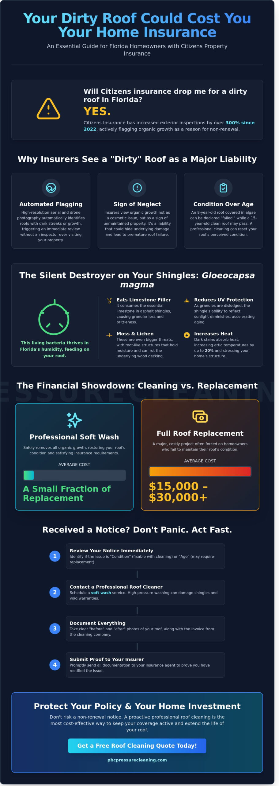 Will Citizens Insurance Drop Me for a Dirty Roof in Florida? What Homeowners Need to Know